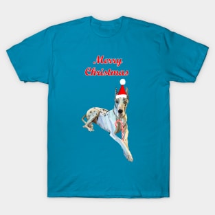 Merry Christmas Harlequin Great Dane Dog T-Shirt